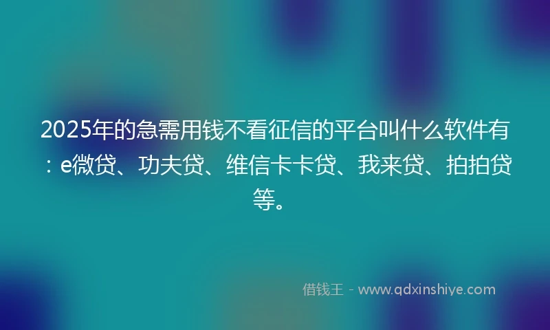 2025年的急需用钱不看征信的平台叫什么软件有：e微贷、功夫贷、维信卡卡贷、我来贷、拍拍贷等。