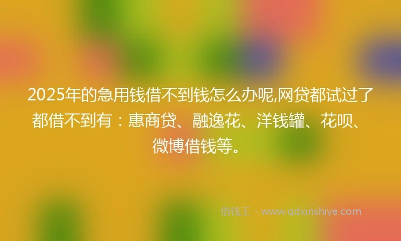 2025年的急用钱借不到钱怎么办呢,网贷都试过了都借不到有：惠商贷、融逸花、洋钱罐、花呗、微博借钱等。