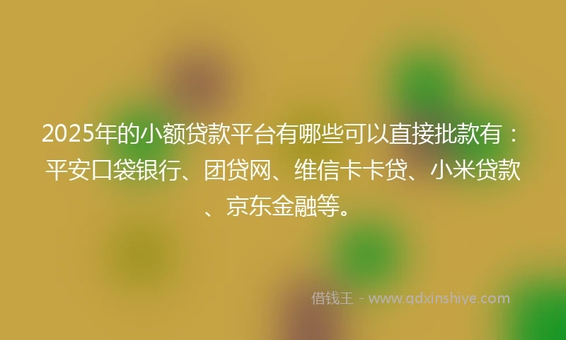 2025年的小额贷款平台有哪些可以直接批款有：平安口袋银行、团贷网、维信卡卡贷、小米贷款、京东金融等。