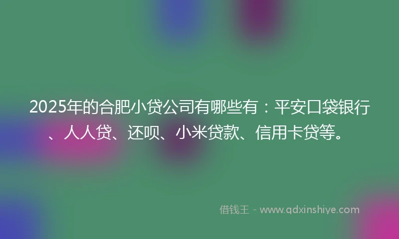 2025年的合肥小贷公司有哪些有：平安口袋银行、人人贷、还呗、小米贷款、信用卡贷等。
