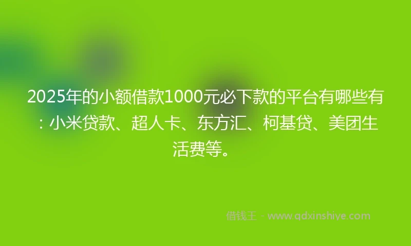 2025年的小额借款1000元必下款的平台有哪些有：小米贷款、超人卡、东方汇、柯基贷、美团生活费等。