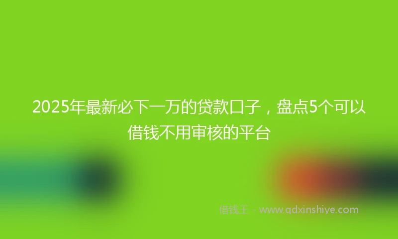 2025年最新必下一万的贷款口子，盘点5个可以借钱不用审核的平台