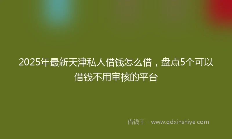 2025年最新天津私人借钱怎么借，盘点5个可以借钱不用审核的平台