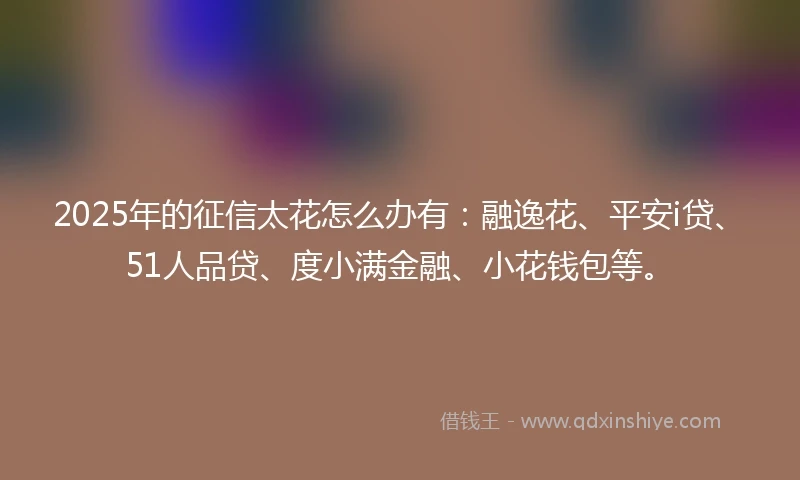 2025年的征信太花怎么办有：融逸花、平安i贷、51人品贷、度小满金融、小花钱包等。