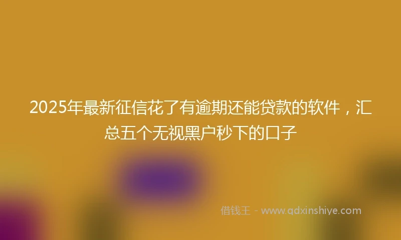 2025年最新征信花了有逾期还能贷款的软件，汇总五个无视黑户秒下的口子