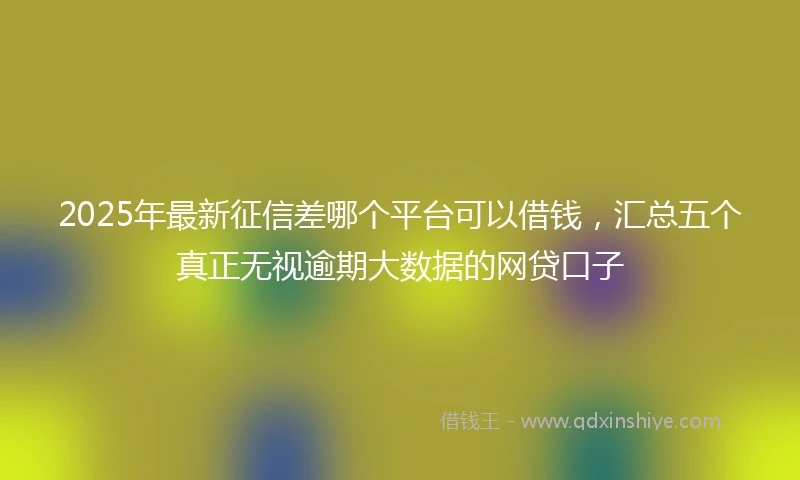 2025年最新征信差哪个平台可以借钱，汇总五个真正无视逾期大数据的网贷口子