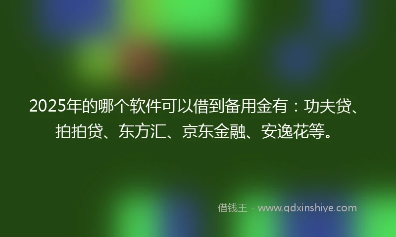 2025年的哪个软件可以借到备用金有：功夫贷、拍拍贷、东方汇、京东金融、安逸花等。