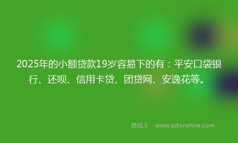 2025年的小额贷款19岁容易下的有：平安口袋银行、还呗、信用卡贷、团贷网、安逸花等。