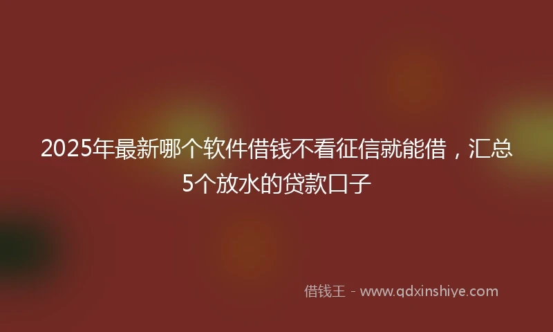 2025年最新哪个软件借钱不看征信就能借，汇总5个放水的贷款口子