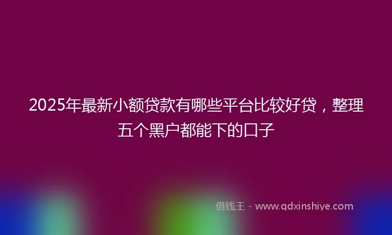 2025年最新小额贷款有哪些平台比较好贷，整理五个黑户都能下的口子
