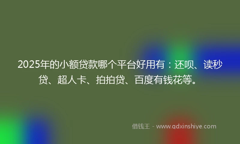 2025年的小额贷款哪个平台好用有：还呗、读秒贷、超人卡、拍拍贷、百度有钱花等。