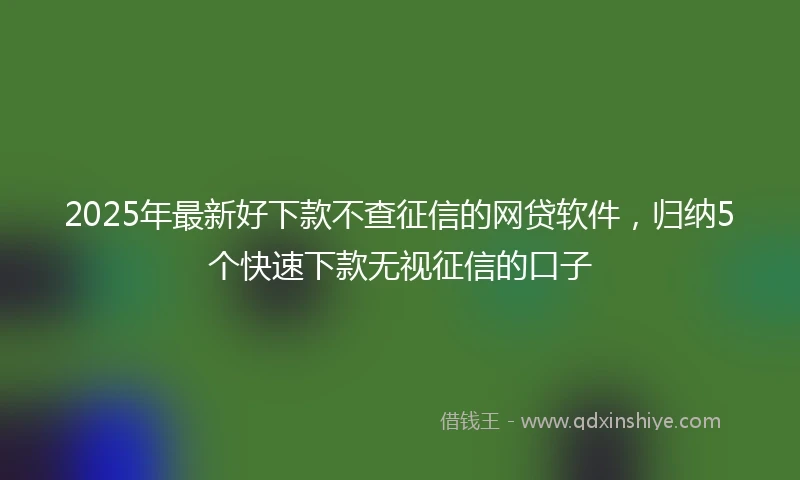 2025年最新好下款不查征信的网贷软件，归纳5个快速下款无视征信的口子