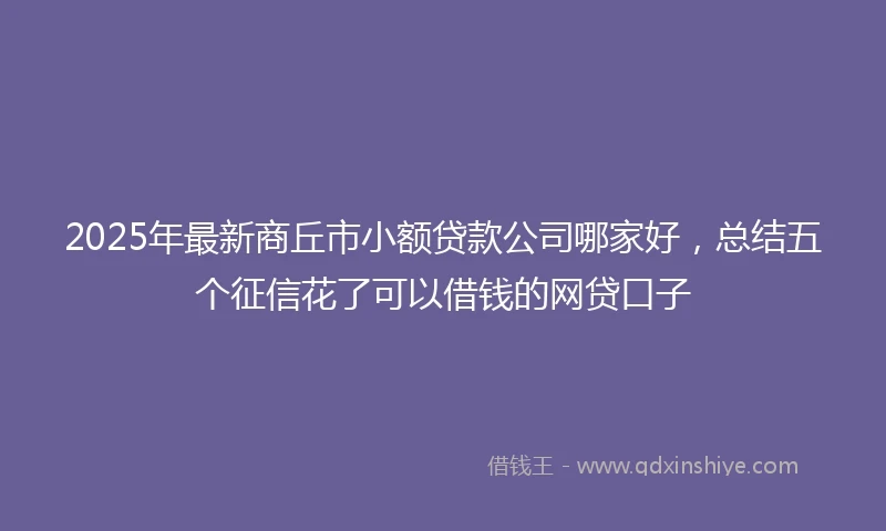 2025年最新商丘市小额贷款公司哪家好，总结五个征信花了可以借钱的网贷口子