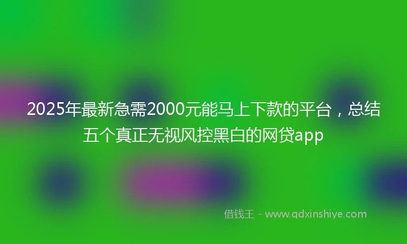 2025年最新急需2000元能马上下款的平台，总结五个真正无视风控黑白的网贷app