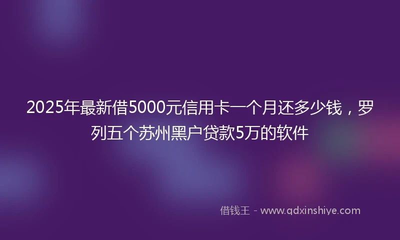 2025年最新借5000元信用卡一个月还多少钱，罗列五个苏州黑户贷款5万的软件