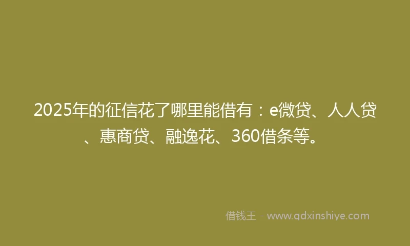 2025年的征信花了哪里能借有：e微贷、人人贷、惠商贷、融逸花、360借条等。