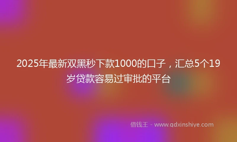 2025年最新双黑秒下款1000的口子，汇总5个19岁贷款容易过审批的平台
