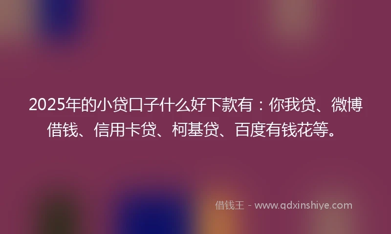 2025年的小贷口子什么好下款有：你我贷、微博借钱、信用卡贷、柯基贷、百度有钱花等。