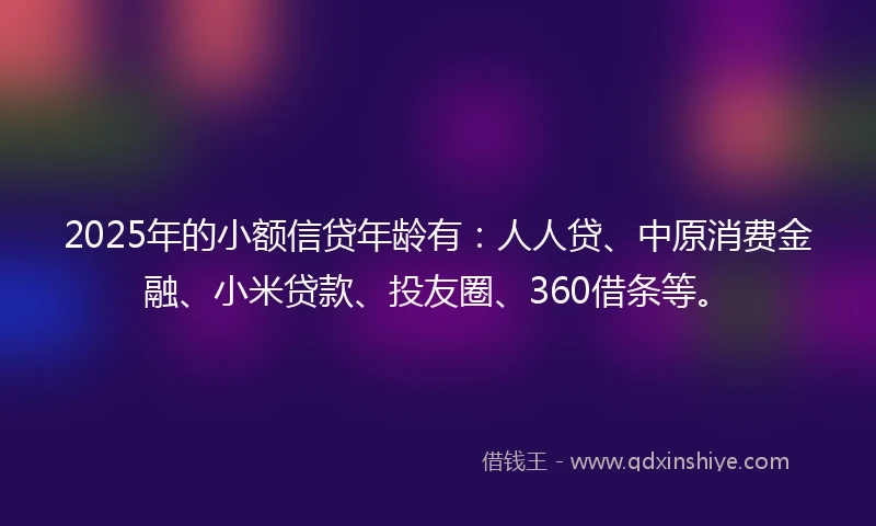 2025年的小额信贷年龄有：人人贷、中原消费金融、小米贷款、投友圈、360借条等。