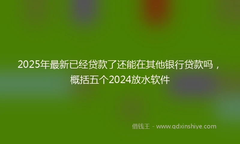 2025年最新已经贷款了还能在其他银行贷款吗，概括五个2024放水软件