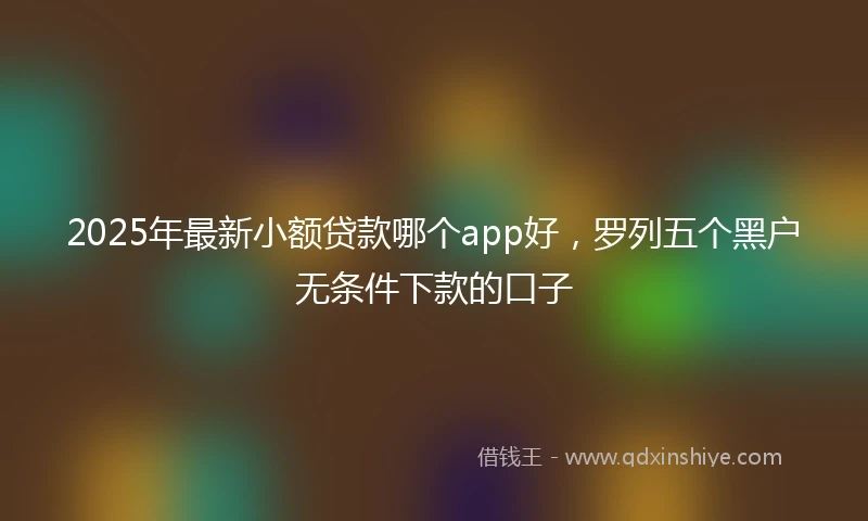 2025年最新小额贷款哪个app好，罗列五个黑户无条件下款的口子