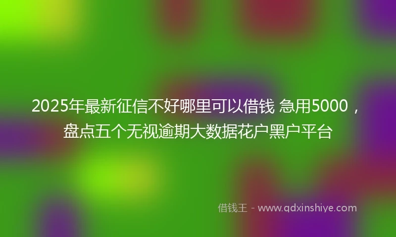 2025年最新征信不好哪里可以借钱 急用5000，盘点五个无视逾期大数据花户黑户平台