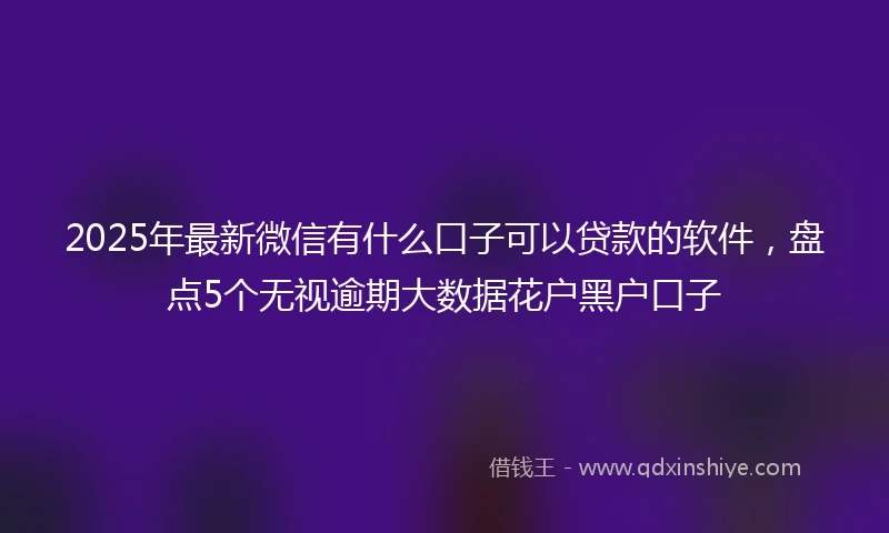2025年最新微信有什么口子可以贷款的软件，盘点5个无视逾期大数据花户黑户口子