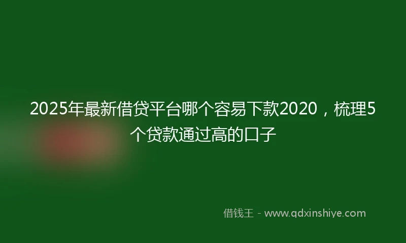 2025年最新借贷平台哪个容易下款2020，梳理5个贷款通过高的口子