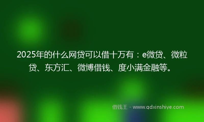 2025年的什么网贷可以借十万有：e微贷、微粒贷、东方汇、微博借钱、度小满金融等。