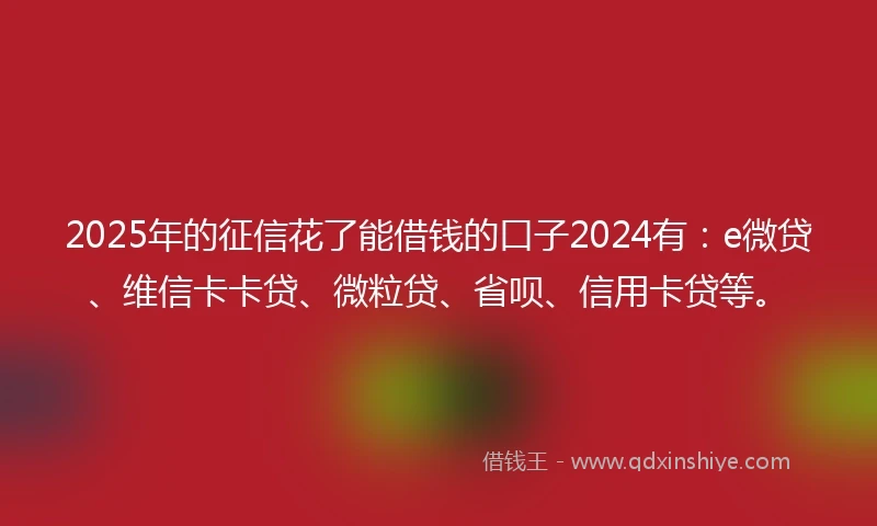 2025年的征信花了能借钱的口子2024有：e微贷、维信卡卡贷、微粒贷、省呗、信用卡贷等。