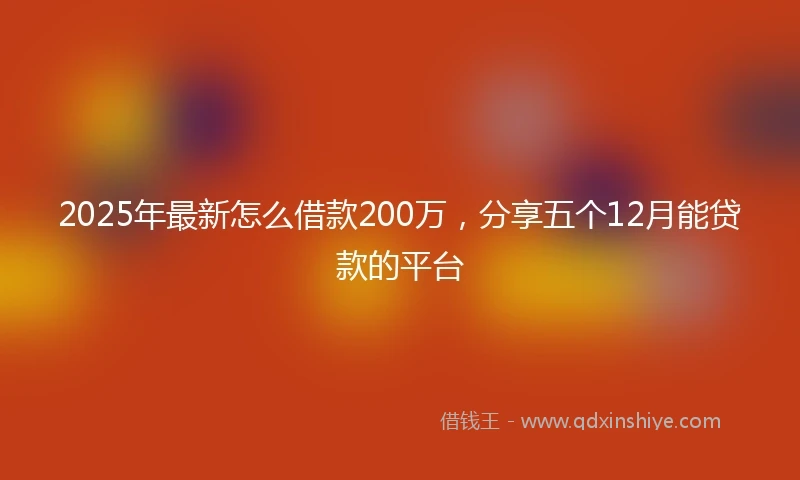 2025年最新怎么借款200万，分享五个12月能贷款的平台