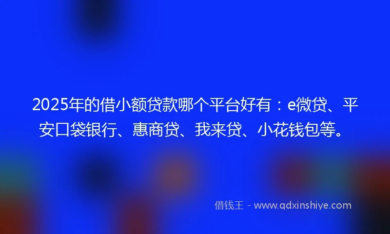 2025年的借小额贷款哪个平台好有：e微贷、平安口袋银行、惠商贷、我来贷、小花钱包等。