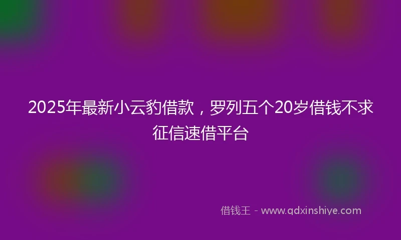2025年最新小云豹借款，罗列五个20岁借钱不求征信速借平台