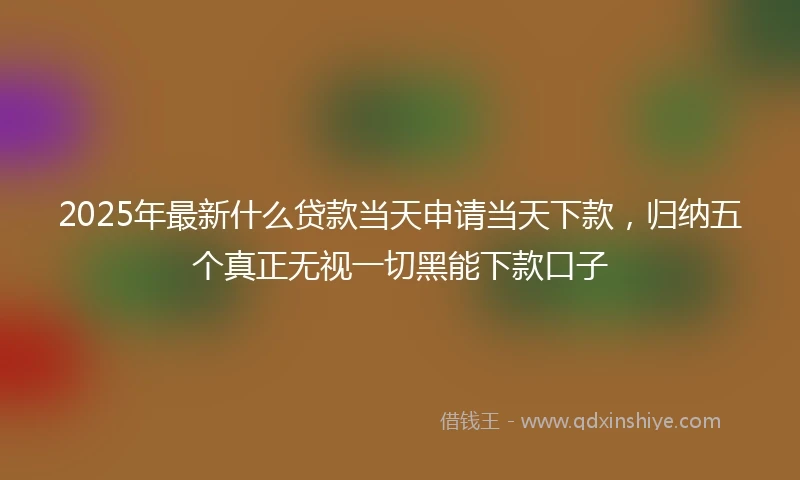 2025年最新什么贷款当天申请当天下款，归纳五个真正无视一切黑能下款口子