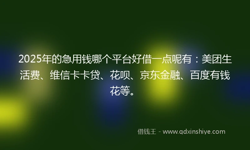 2025年的急用钱哪个平台好借一点呢有：美团生活费、维信卡卡贷、花呗、京东金融、百度有钱花等。