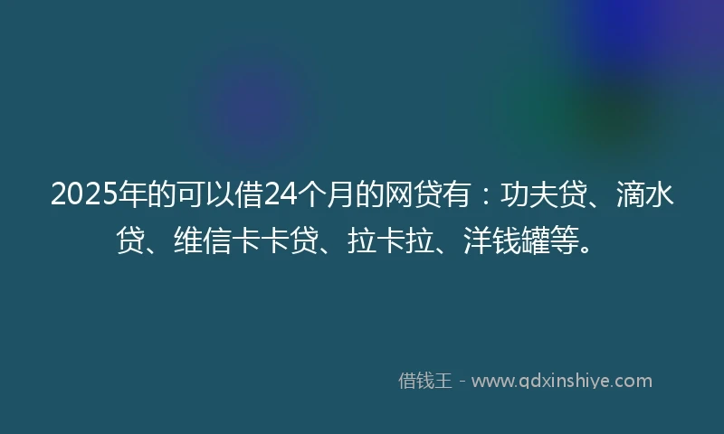 2025年的可以借24个月的网贷有：功夫贷、滴水贷、维信卡卡贷、拉卡拉、洋钱罐等。