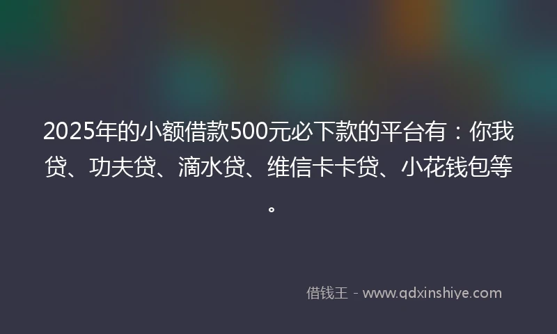 2025年的小额借款500元必下款的平台有：你我贷、功夫贷、滴水贷、维信卡卡贷、小花钱包等。