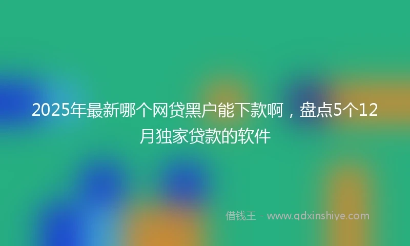 2025年最新哪个网贷黑户能下款啊，盘点5个12月独家贷款的软件
