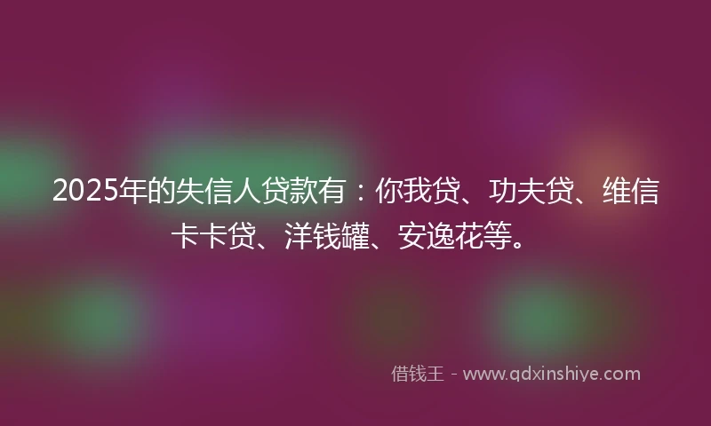 2025年的失信人贷款有：你我贷、功夫贷、维信卡卡贷、洋钱罐、安逸花等。