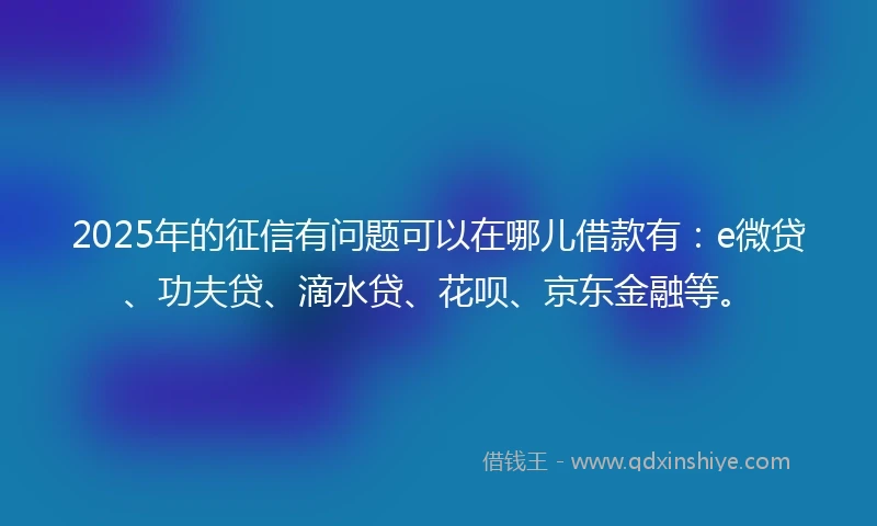2025年的征信有问题可以在哪儿借款有：e微贷、功夫贷、滴水贷、花呗、京东金融等。