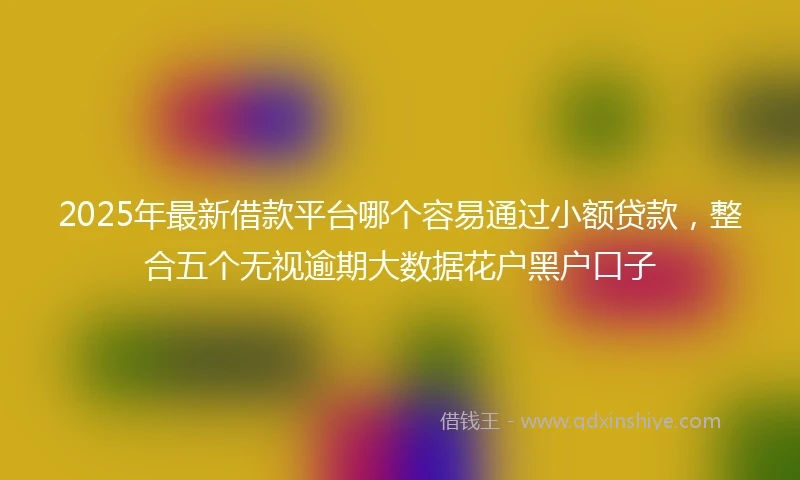 2025年最新借款平台哪个容易通过小额贷款，整合五个无视逾期大数据花户黑户口子