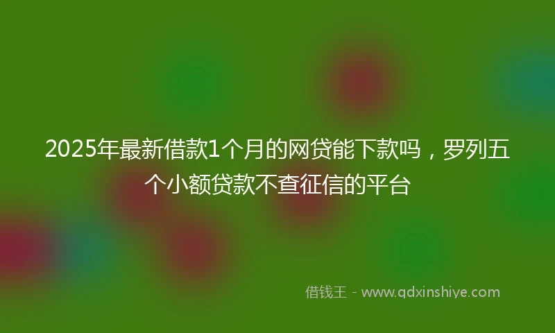 2025年最新借款1个月的网贷能下款吗，罗列五个小额贷款不查征信的平台