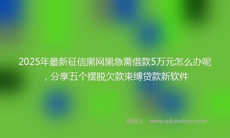 2025年最新征信黑网黑急需借款5万元怎么办呢，分享五个摆脱欠款束缚贷款新软件