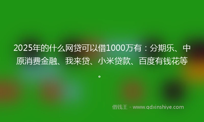 2025年的什么网贷可以借1000万有：分期乐、中原消费金融、我来贷、小米贷款、百度有钱花等。