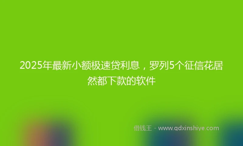 2025年最新小额极速贷利息，罗列5个征信花居然都下款的软件