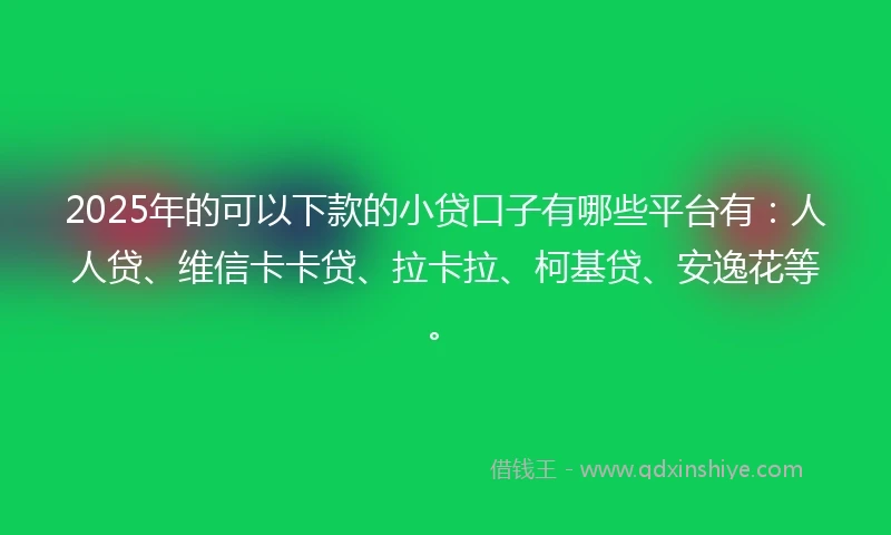 2025年的可以下款的小贷口子有哪些平台有：人人贷、维信卡卡贷、拉卡拉、柯基贷、安逸花等。