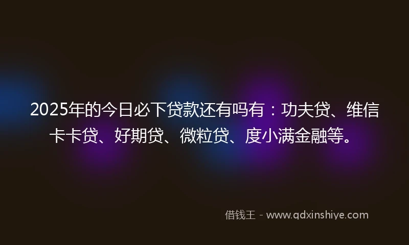 2025年的今日必下贷款还有吗有：功夫贷、维信卡卡贷、好期贷、微粒贷、度小满金融等。