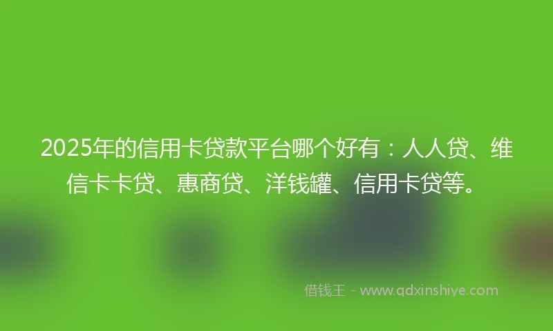 2025年的信用卡贷款平台哪个好有：人人贷、维信卡卡贷、惠商贷、洋钱罐、信用卡贷等。