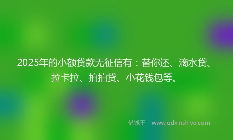 2025年的小额贷款无征信有：替你还、滴水贷、拉卡拉、拍拍贷、小花钱包等。