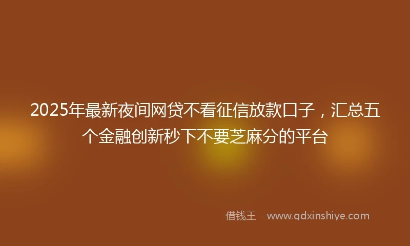 2025年最新夜间网贷不看征信放款口子，汇总五个金融创新秒下不要芝麻分的平台